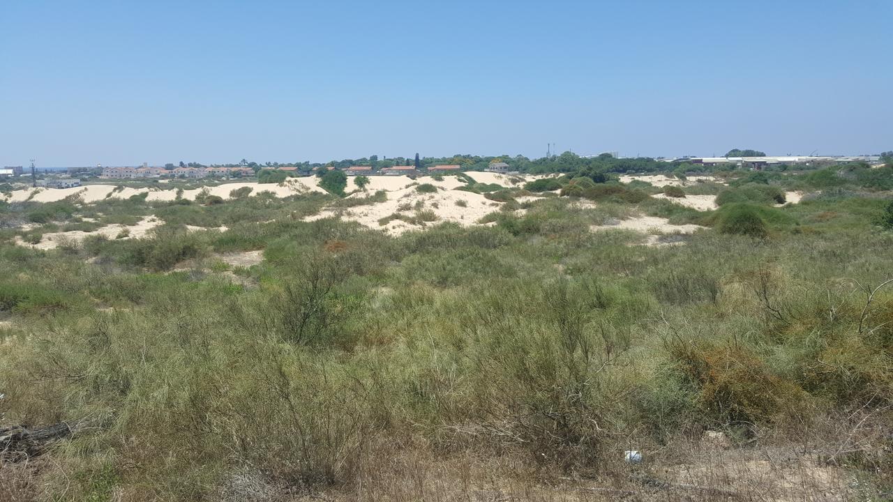 Neot Golf Caesarea Garden Apartment Eksteriør billede